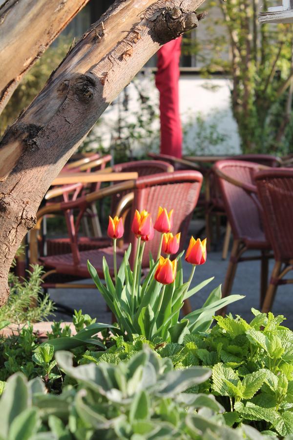 Hotel Kölner Hof Refrath Bergisch Gladbach Kültér fotó